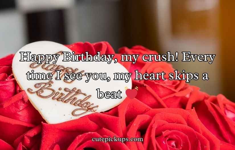 Birthday Wishes for Crush
