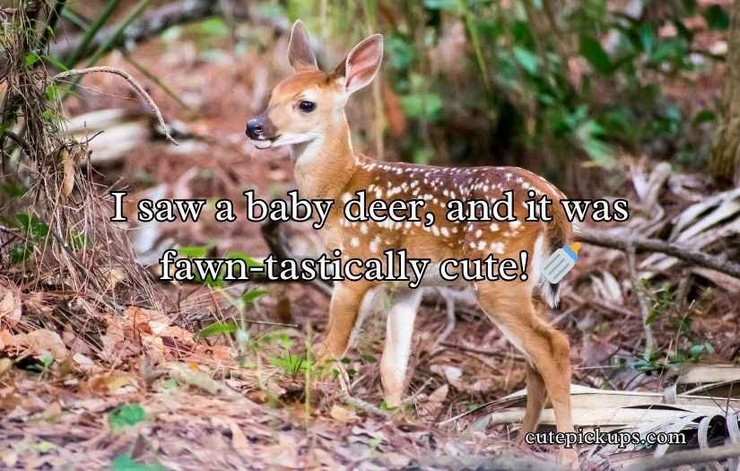 Deer Puns and Jokes