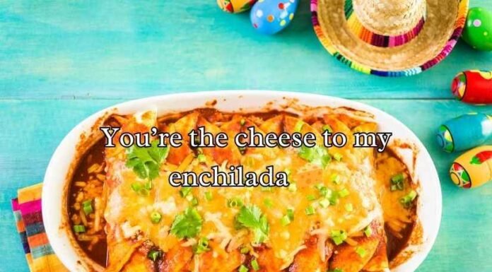 Enchilada Puns Enchilada Puns