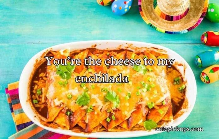 Enchilada Puns