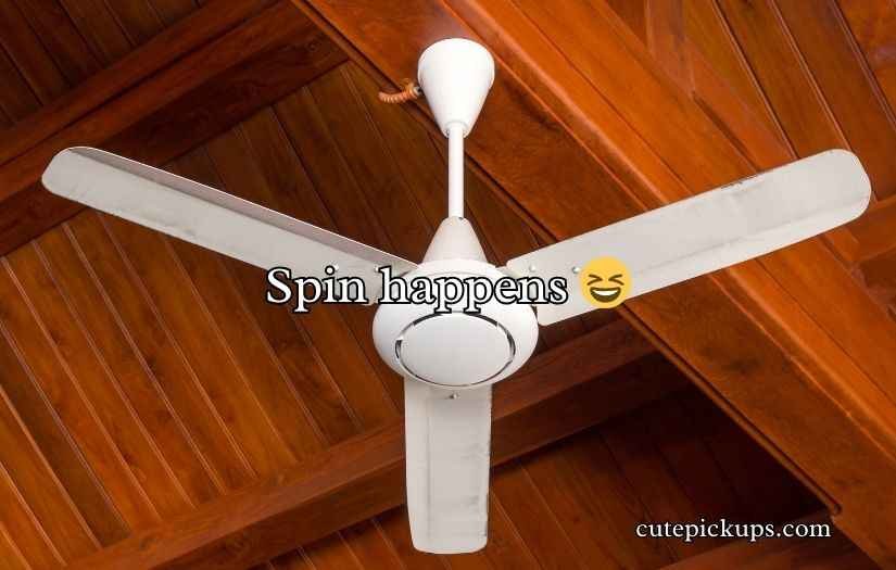 Fan Puns