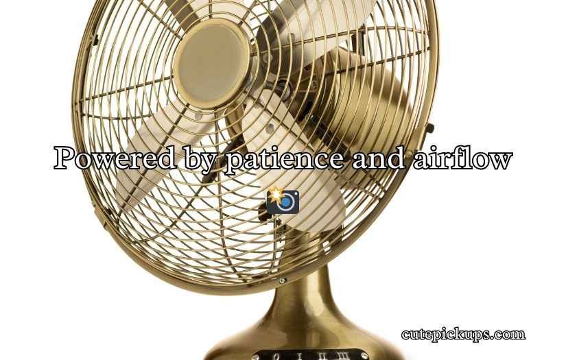 Fan Puns