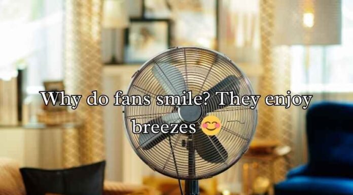 Fan Puns Fan Puns