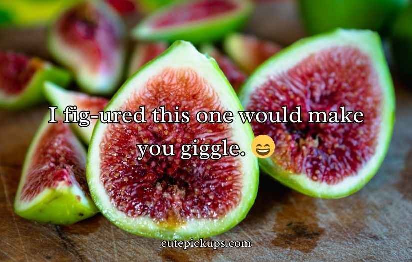 Fig Puns and Jokes
