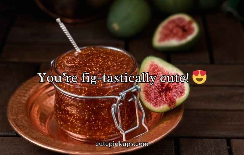 Fig Puns and Jokes