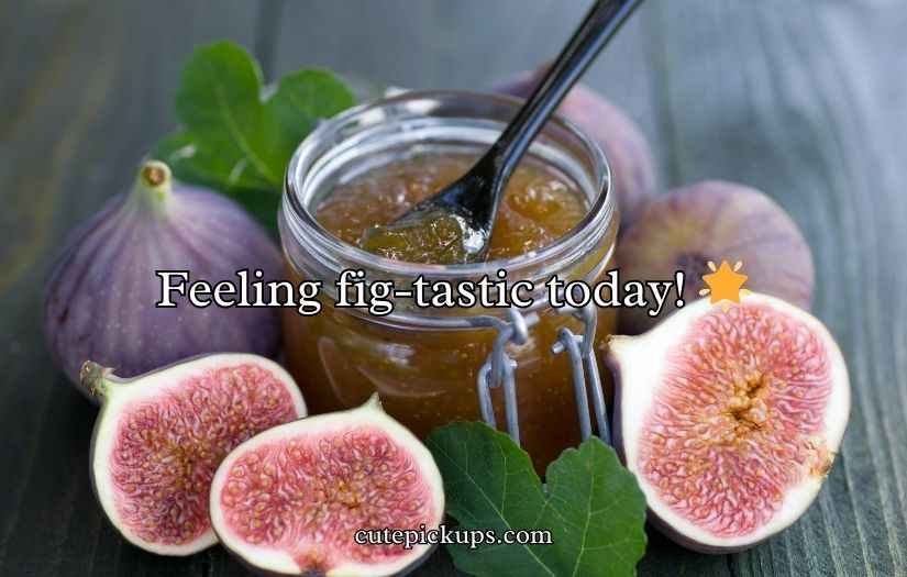 Fig Puns and Jokes
