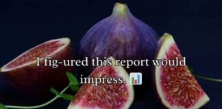 Fig Puns and Jokes Fig Puns and Jokes