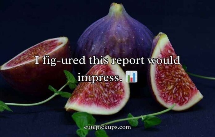 Fig Puns and Jokes