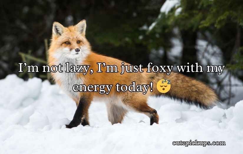 Fox Puns and Jokes
