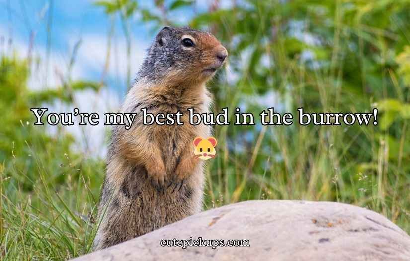 Gopher Puns