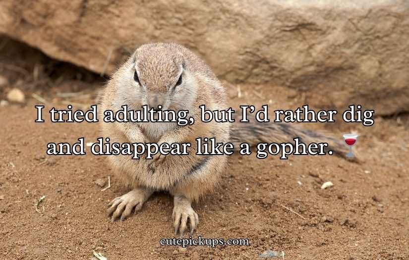 Gopher Puns
