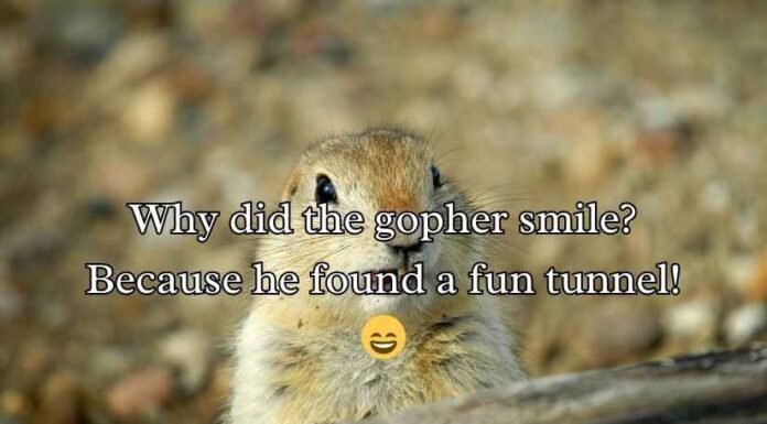Gopher Puns Gopher Puns