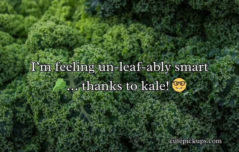Kale Puns and jokes