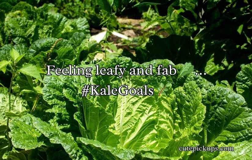 Kale Puns and jokes