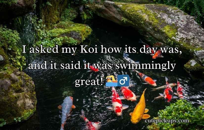 Koi Fish Puns and Jokes