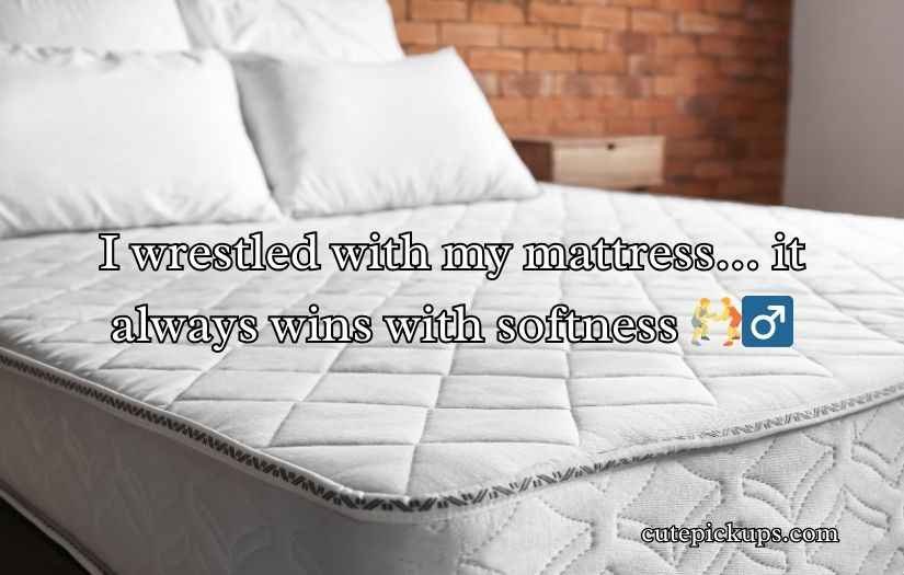 Mattress Puns