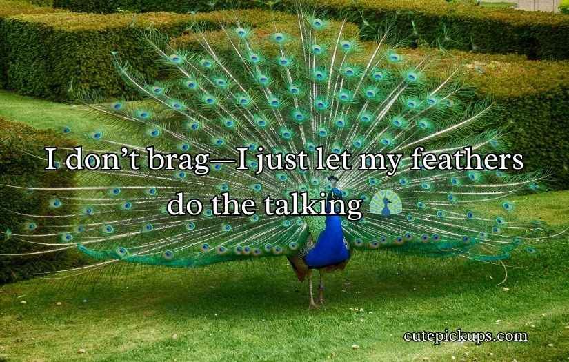 Peacock Puns