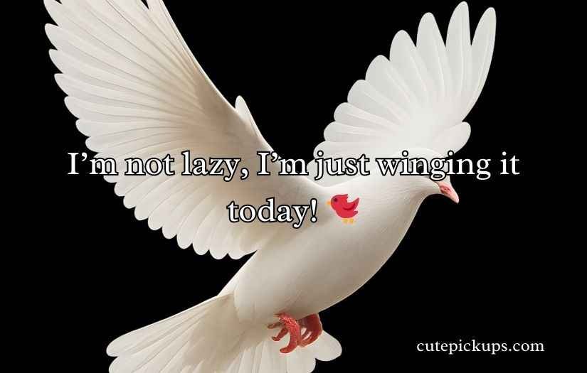 Pigeon Puns and Jokes