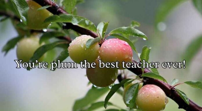 Plum Puns and Jokes Plum Puns and Jokes