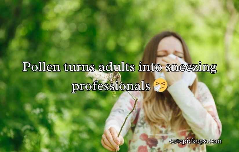Pollen Puns