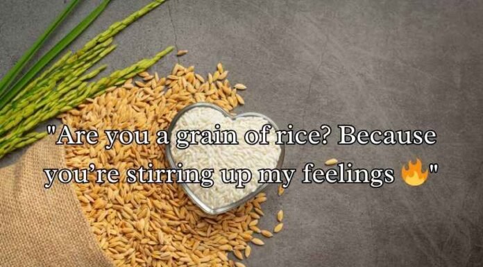 Rice Puns Rice Puns