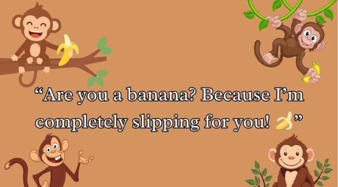 Rizz Monkey GIF Pick Up Lines Rizz Monkey GIF Pick Up Lines