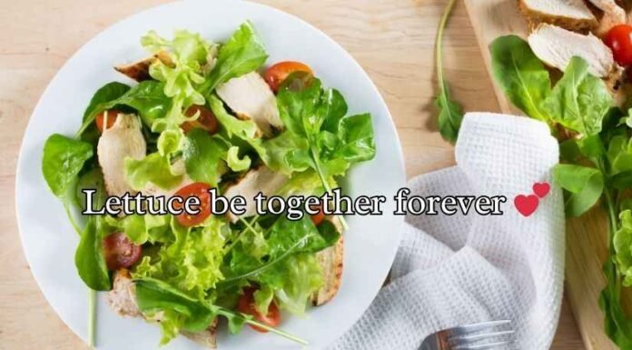 Salad Puns Salad Puns