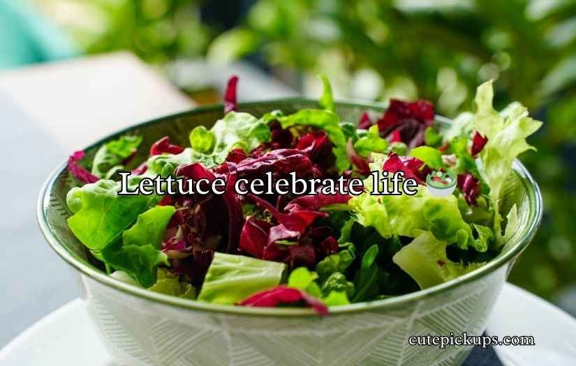 Salad Puns
