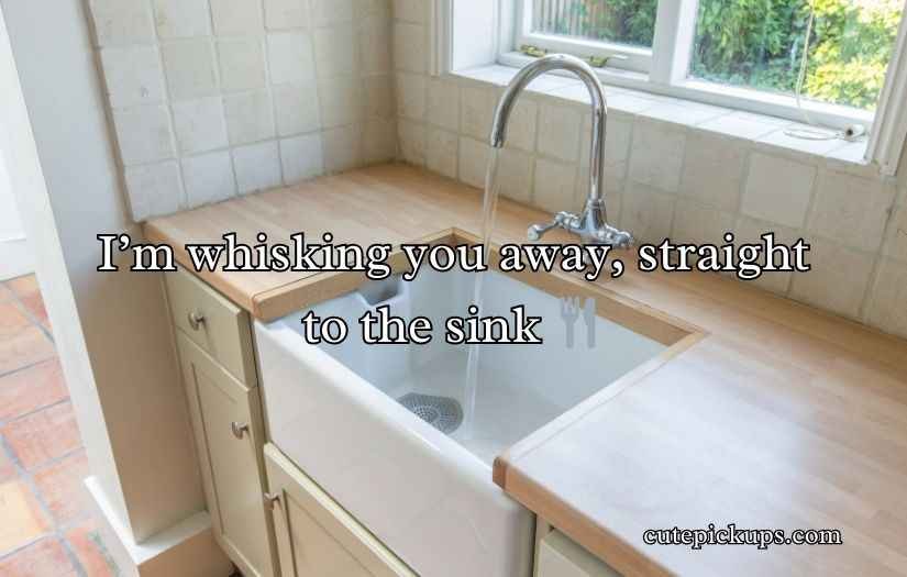 Sink Puns