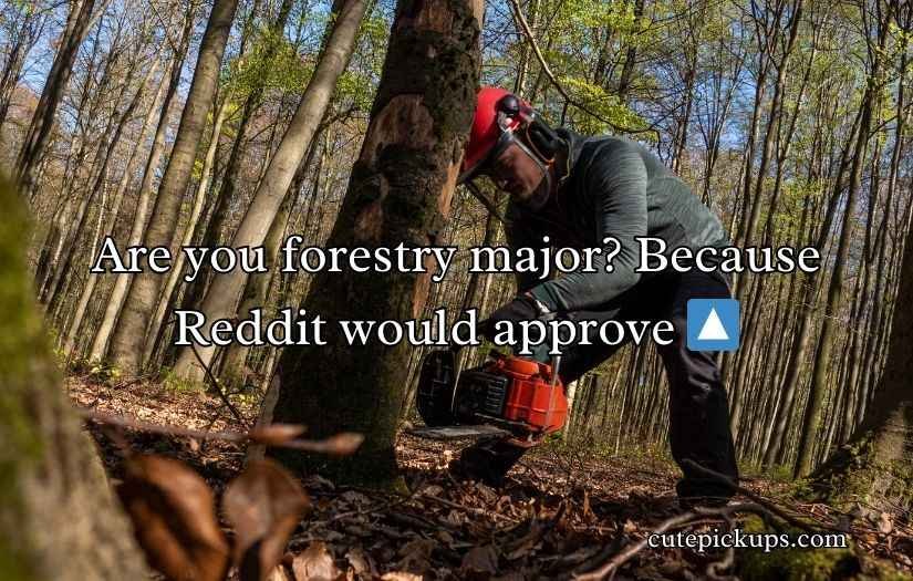 Forestry Pick Up Lines