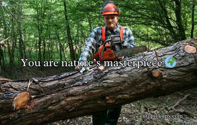 Forestry Pick Up Lines