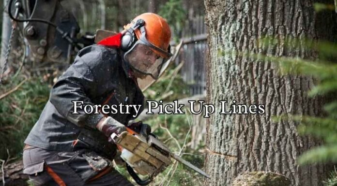 Forestry Pick Up Lines Forestry Pick Up Lines