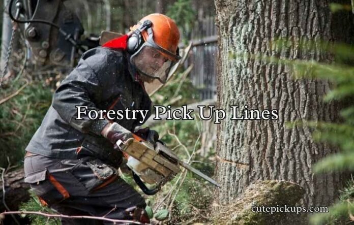 Forestry Pick Up Lines Forestry Pick Up Lines