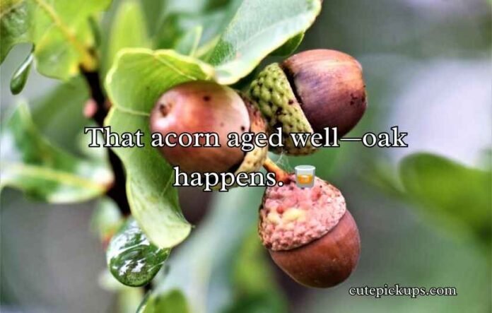 Acorn Puns