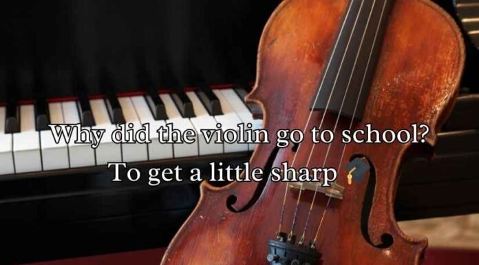 Best Violin Puns Best Violin Puns