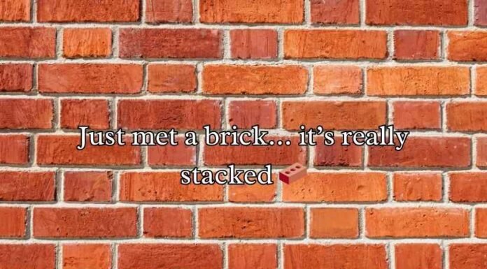 Brick Puns and Jokes Brick Puns and Jokes