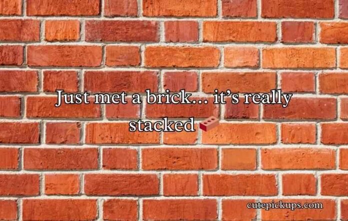 Brick Puns and Jokes