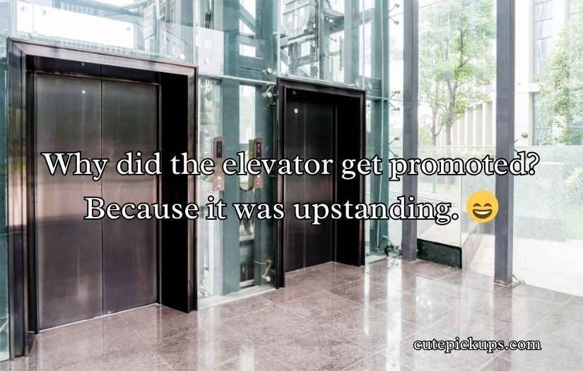 Elevator Puns