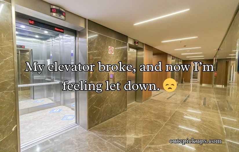 Elevator Puns