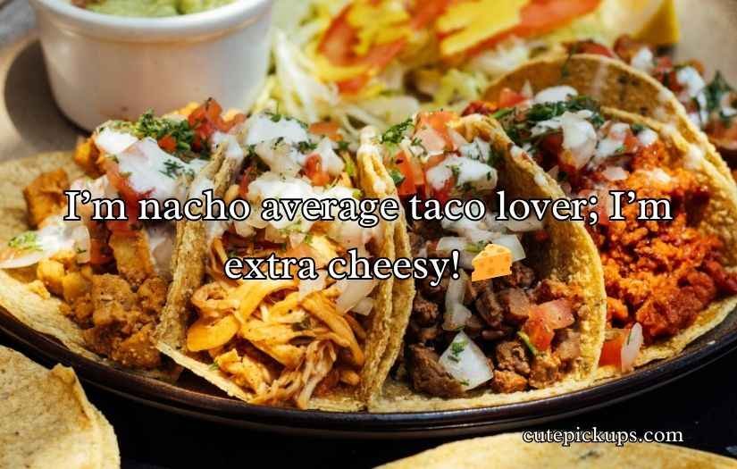 Funny Taco Puns