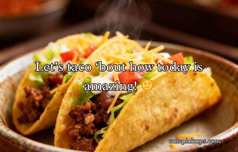 Funny Taco Puns