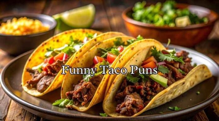 Funny Taco Puns Funny Taco Puns