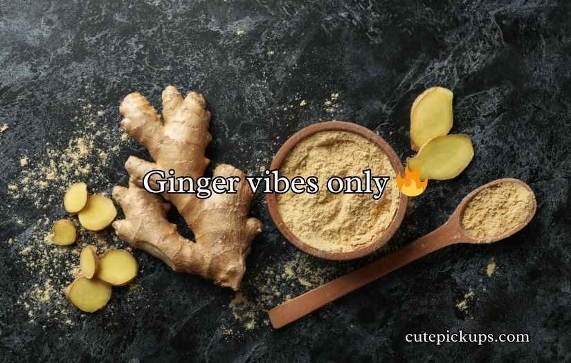Ginger Puns
