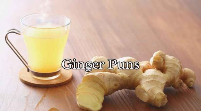 Ginger Puns Ginger Puns