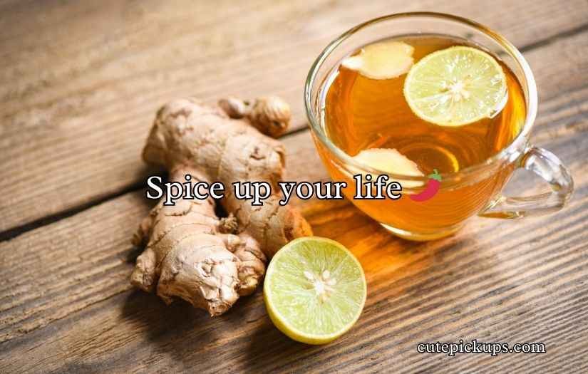 Ginger Puns