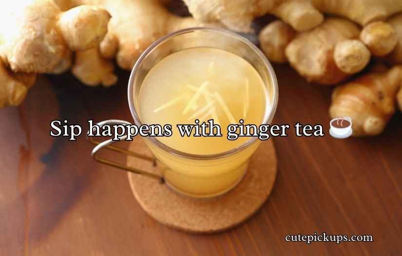 Ginger Puns