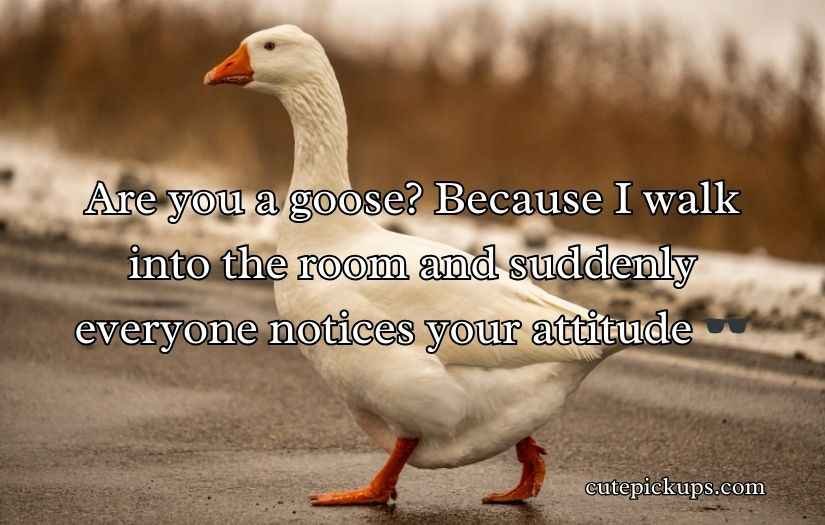 Goose Pickup Lines