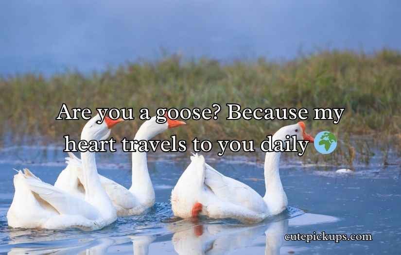 Goose Pickup Lines