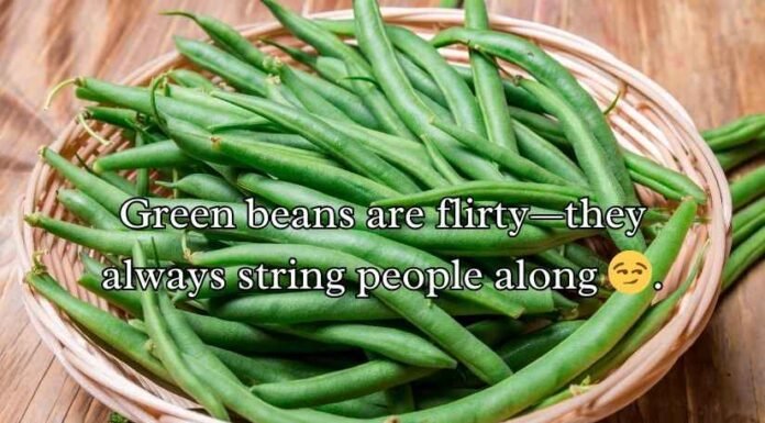 Green Beans Puns Green Beans Puns