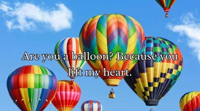 Hot Air Balloon Puns Hot Air Balloon Puns